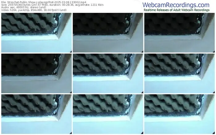 2025/03/08/stripchat-playsgirlhot-13-30-02