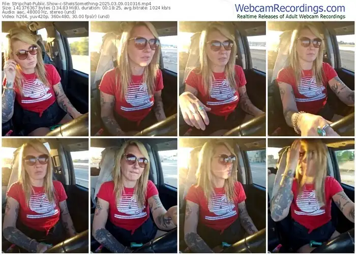 2025/03/09/stripchat-sheissomething-01-03-16