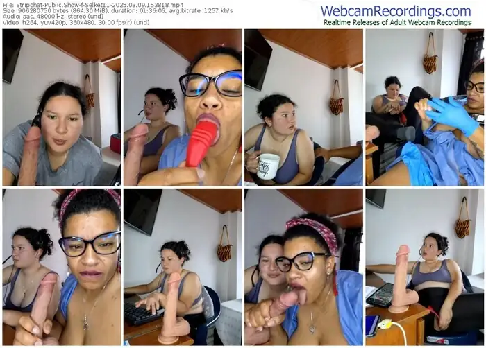 2025/03/09/stripchat-selket11-15-38-18