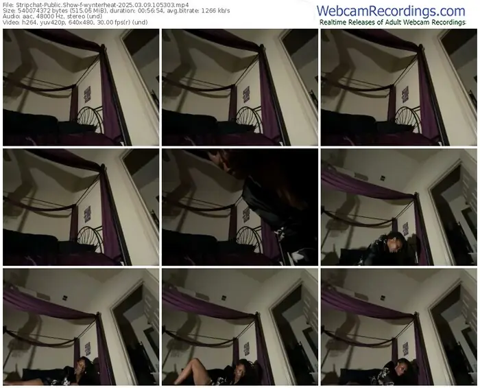 2025/03/09/stripchat-wynterheat-10-53-03