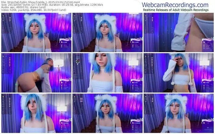 2025/03/09/stripchat-zelda_1-15-21-40