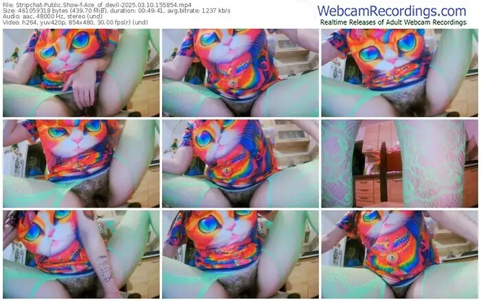 2025/03/10/stripchat-ace_of_devil-15-58-54