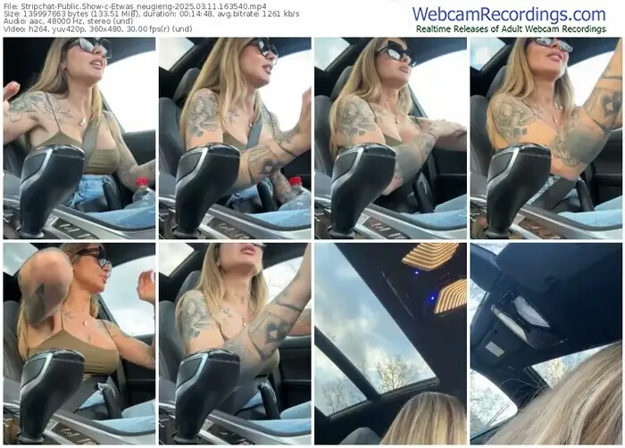 2025/03/11/stripchat-etwas_neugierig-16-35-40