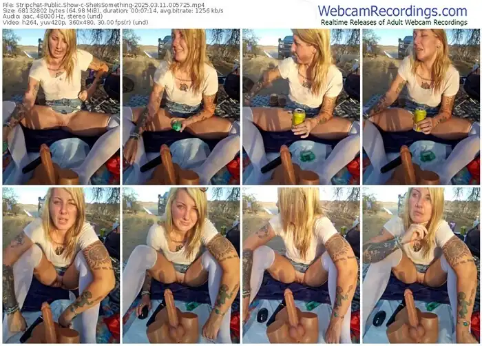 2025/03/11/stripchat-sheissomething-00-57-25