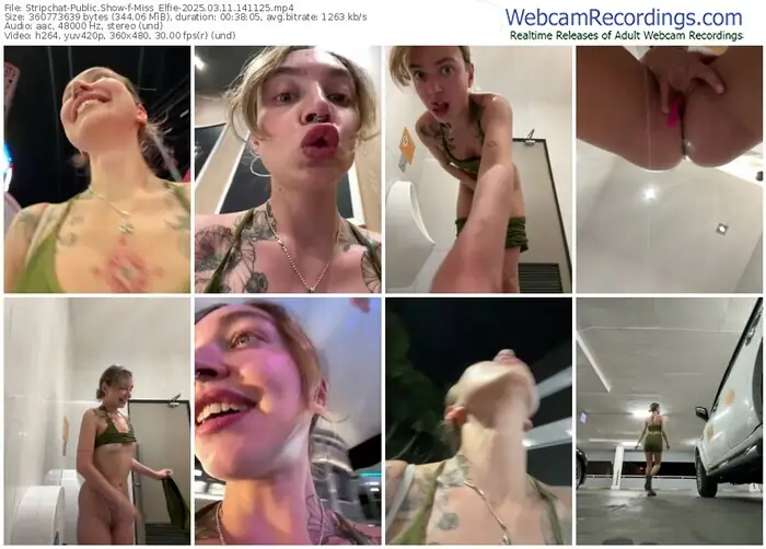 2025/03/11/stripchat-miss_elfie-14-11-25