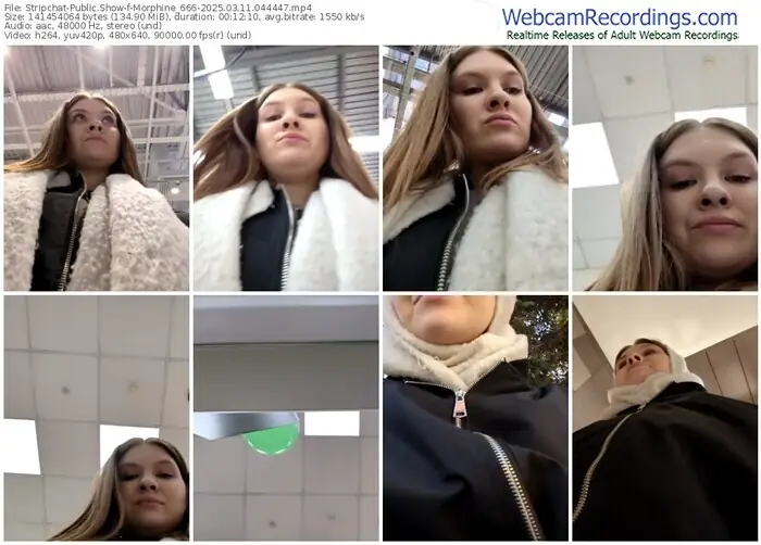 2025/03/11/stripchat-morphine_666-04-44-47