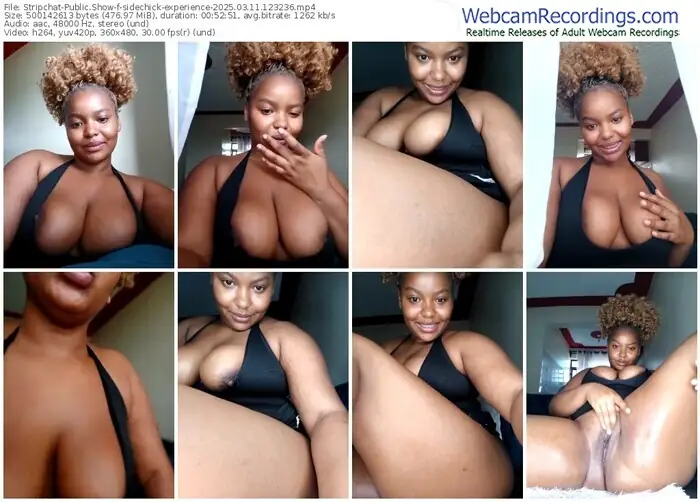 2025/03/11/stripchat-sidechick-experience-12-32-36