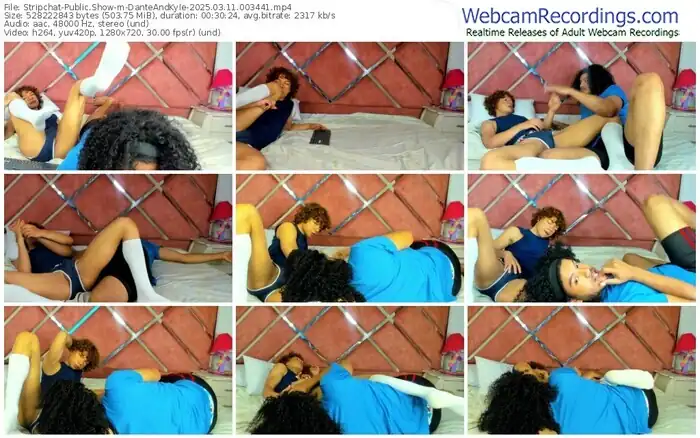 2025/03/11/stripchat-danteandkyle-00-34-41