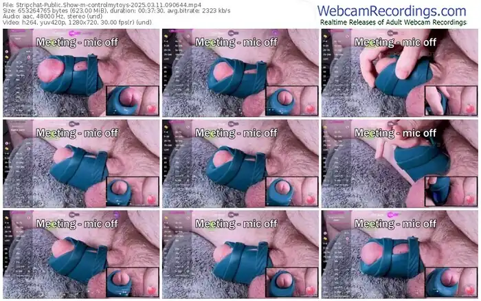 2025/03/11/stripchat-controlmytoys-09-06-44