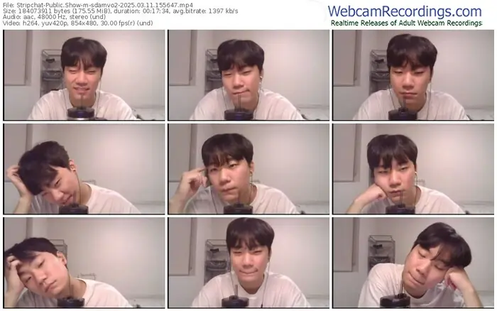 2025/03/11/stripchat-sdamvo2-15-56-47