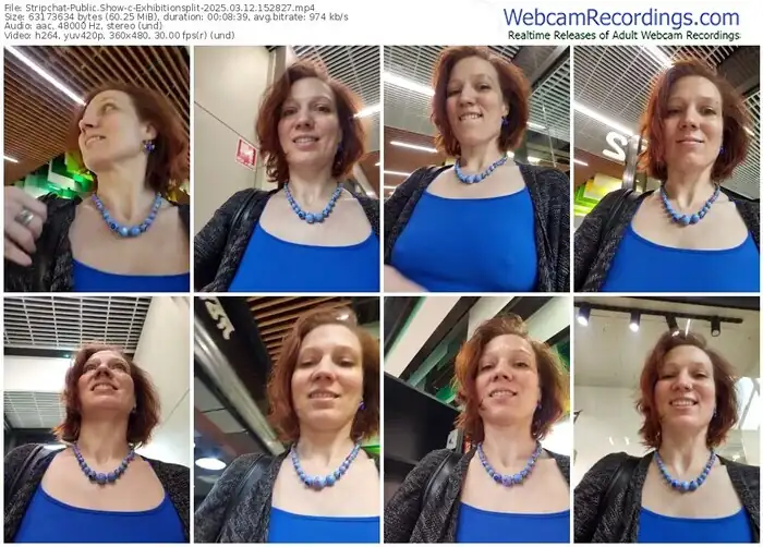 2025/03/12/stripchat-exhibitionsplit-15-28-27