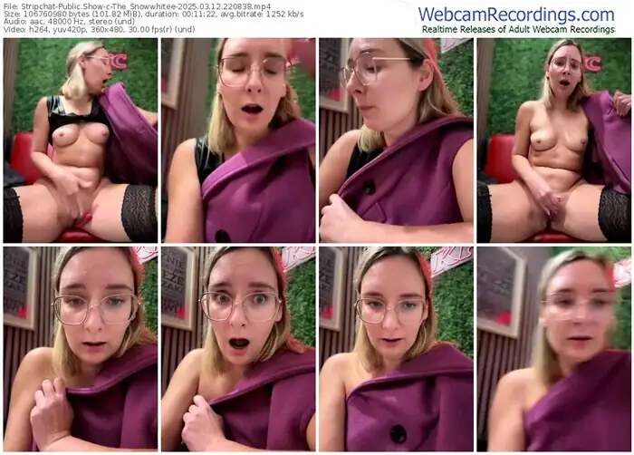 2025/03/12/stripchat-the_snowwhitee-22-08-38