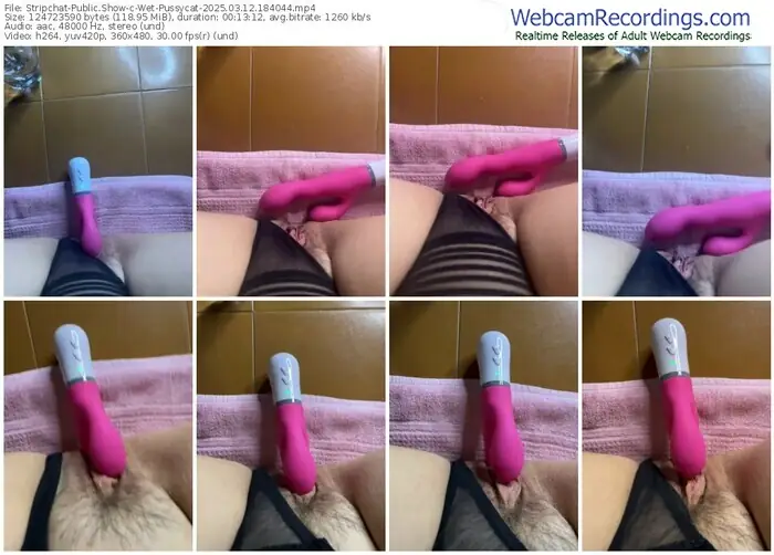 2025/03/12/stripchat-wet-pussycat-18-40-44