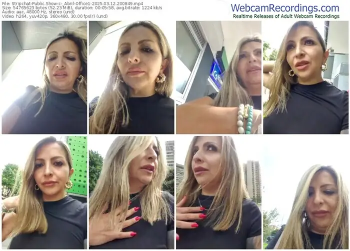 2025/03/12/stripchat-_abril-office1-20-08-49