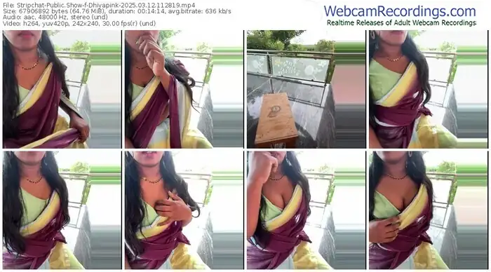 2025/03/12/stripchat-dhiyapink-11-28-19