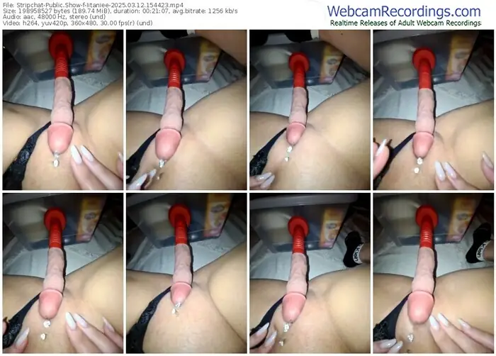 2025/03/12/stripchat-iitaniee-15-44-23
