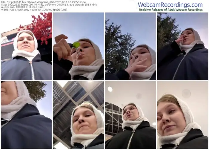 2025/03/12/stripchat-morphine_666-09-33-53