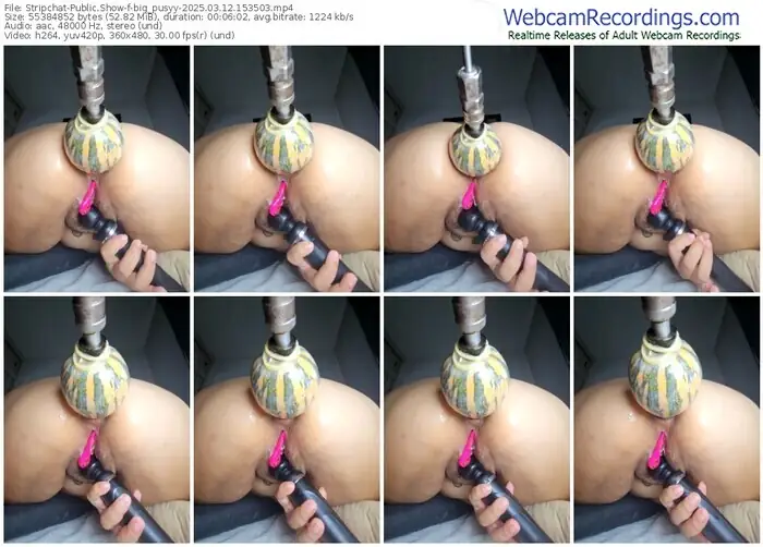 2025/03/12/stripchat-big_pusyy-15-35-03