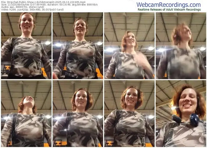 2025/03/13/stripchat-exhibitionsplit-22-19-05