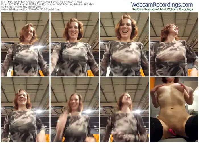 2025/03/13/stripchat-exhibitionsplit-22-46-15