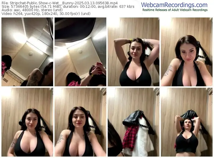 2025/03/13/stripchat-wet__bunny-09-56-38