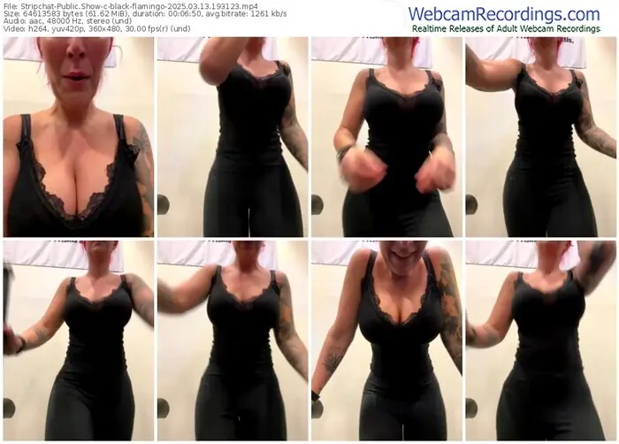 2025/03/13/stripchat-black-flamingo-19-31-23