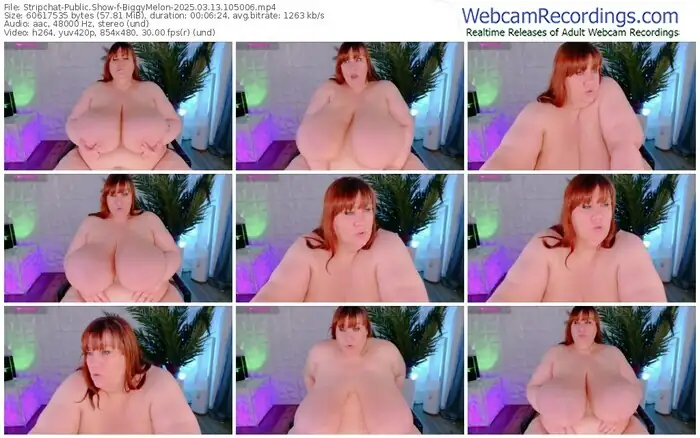 2025/03/13/stripchat-biggymelon-10-50-06