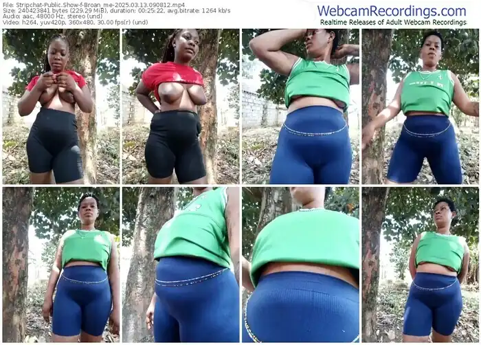 2025/03/13/stripchat-broan_me-09-08-12