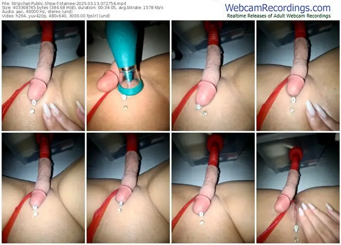 2025/03/13/stripchat-iitaniee-07-27-54