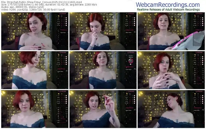 2025/03/13/stripchat-your_corvus-11-16-01