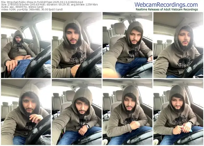 2025/03/13/stripchat-ticklishtiger-22-49-09