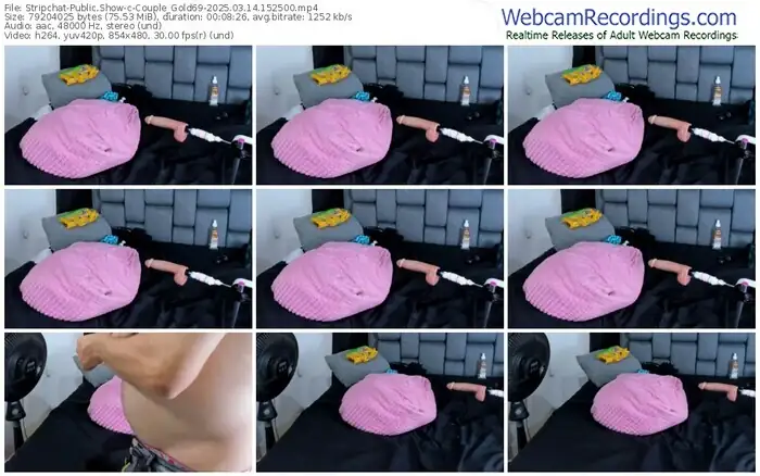 2025/03/14/stripchat-couple_gold69-15-25-00