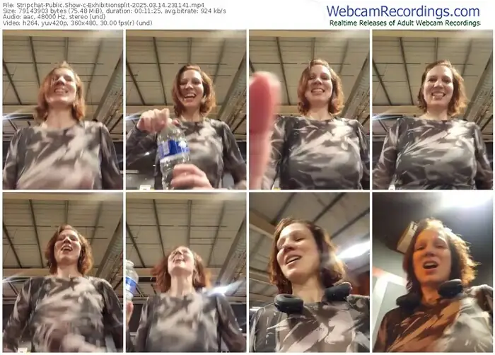 2025/03/14/stripchat-exhibitionsplit-23-11-41