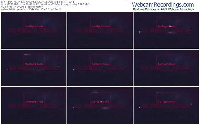 2025/03/14/stripchat-anytoly-10-10-01