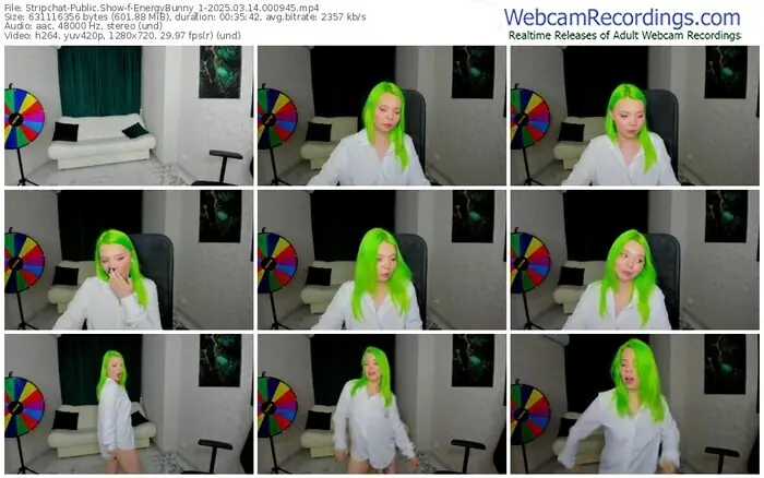 2025/03/14/stripchat-energybunny_1-00-09-45