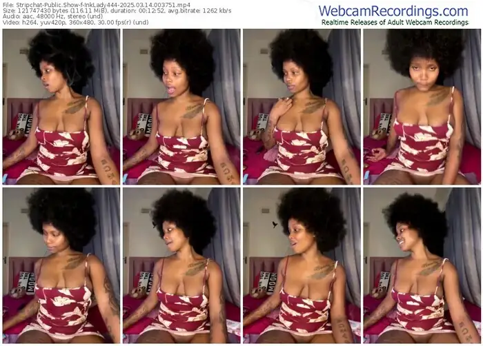 2025/03/14/stripchat-inklady444-00-37-51