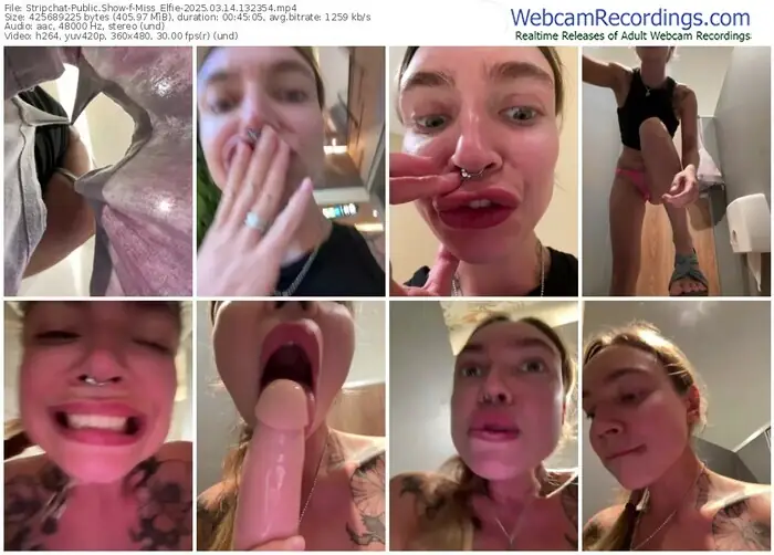 2025/03/14/stripchat-miss_elfie-13-23-54