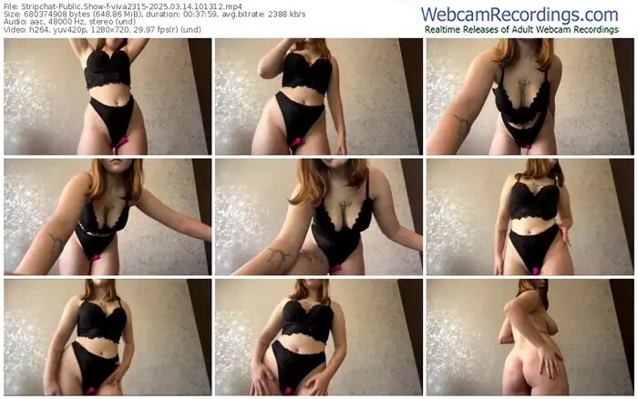 2025/03/14/stripchat-viva2315-10-13-12