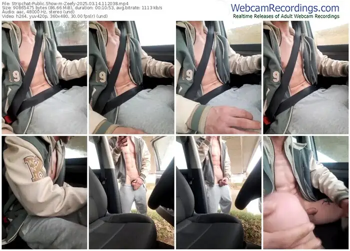2025/03/14/stripchat-zeefy-11-20-38