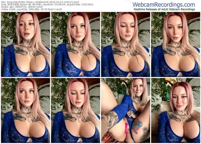 2025/03/15/stripchat-stella-kink-14-41-15
