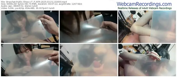 2025/03/15/stripchat-t_p_ntr-13-30-00