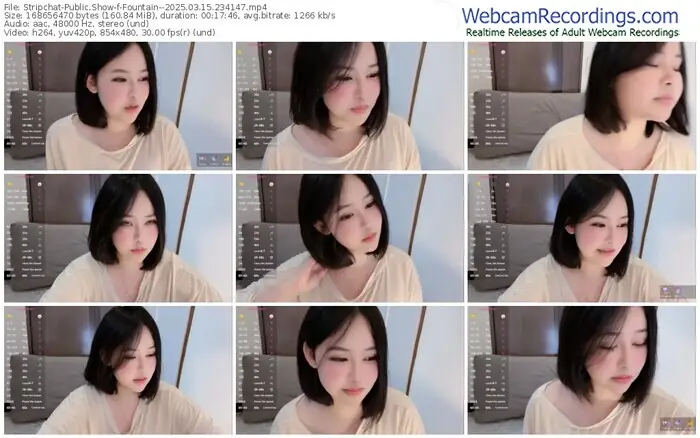 2025/03/15/stripchat-fountain--23-41-47