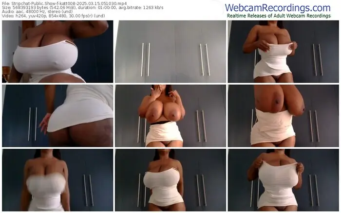 2025/03/15/stripchat-katt008-05-10-30