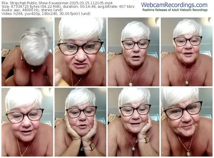 2025/03/15/stripchat-suesinner-11-21-05