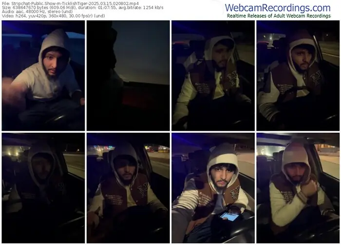 2025/03/15/stripchat-ticklishtiger-02-08-02