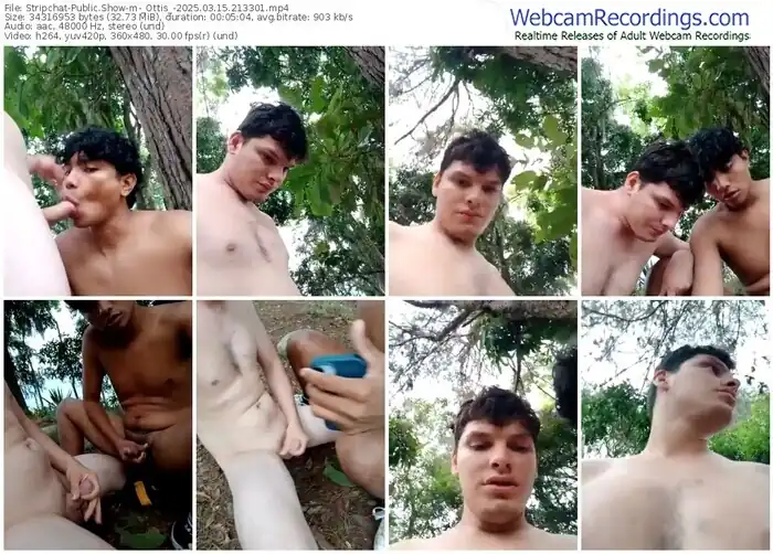 2025/03/15/stripchat-_ottis_-21-33-01