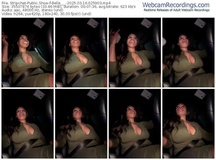 2025/03/16/stripchat-belle___-02-59-03