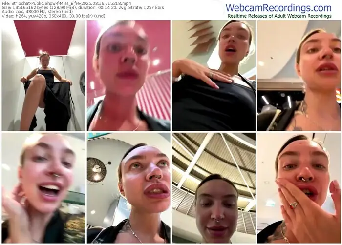 2025/03/16/stripchat-miss_elfie-11-52-18