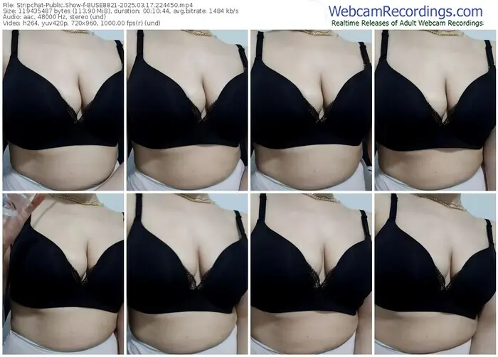 2025/03/17/stripchat-buse8821-22-44-50