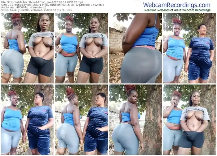 2025/03/17/stripchat-broan_me-07-51-32